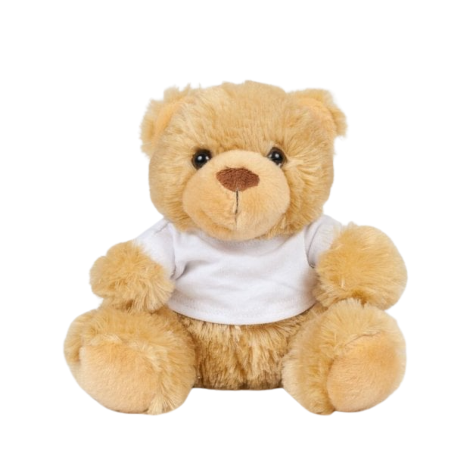 Teddy with T-Shirt — A little friend with a big message.